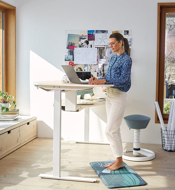 Airfish In hoogte verstelbaar bureau, 100 x 60 cm, met USB-aansluiting Airfish In hoogte verstelbaar bureau, 100 x 60 cm, met USB-aansluiting